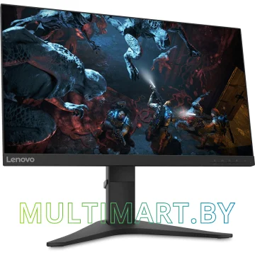 Монитор Lenovo G25-10 (65FEGAC2EU) картинка 3